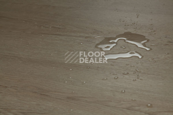 Tarkett Funky House Ricon фото 10 | FLOORDEALER